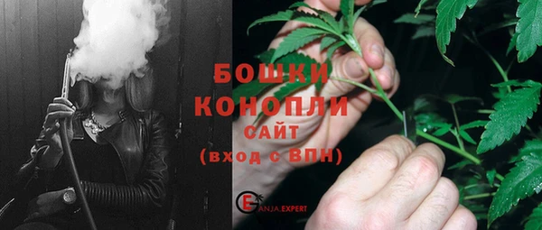ГАЛЛЮЦИНОГЕННЫЕ ГРИБЫ Верея