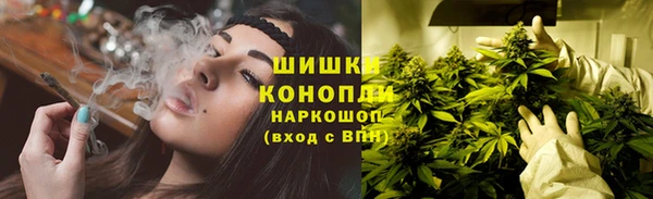 молекула духа Вязьма