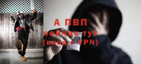 прущая мука Вяземский