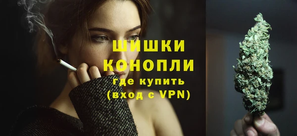 ПСИЛОЦИБИНОВЫЕ ГРИБЫ Верхний Тагил