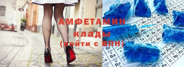 ГАЛЛЮЦИНОГЕННЫЕ ГРИБЫ Верея