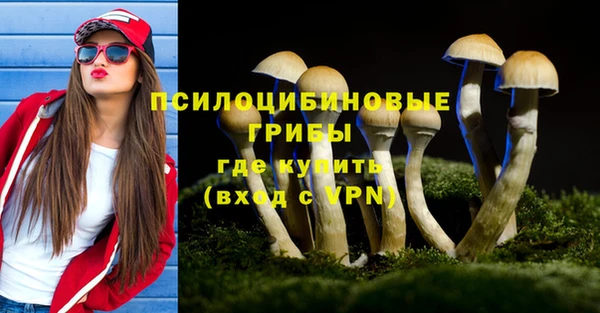 прущая мука Вяземский
