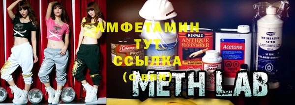 молекула духа Вязьма