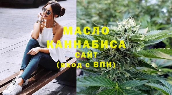 прущая мука Вяземский