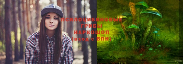 ГАЛЛЮЦИНОГЕННЫЕ ГРИБЫ Верея