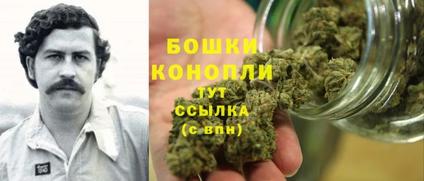 молекула духа Вязьма